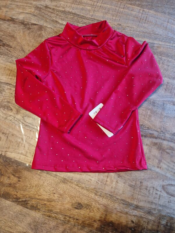 Blouse Sparkle | Rood