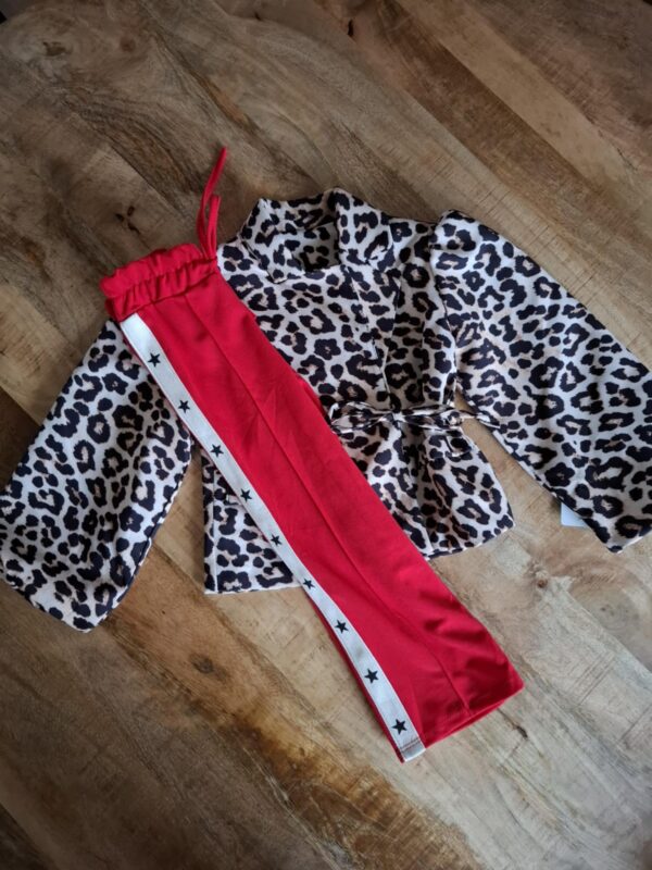 Overslag strik blazer | Panter